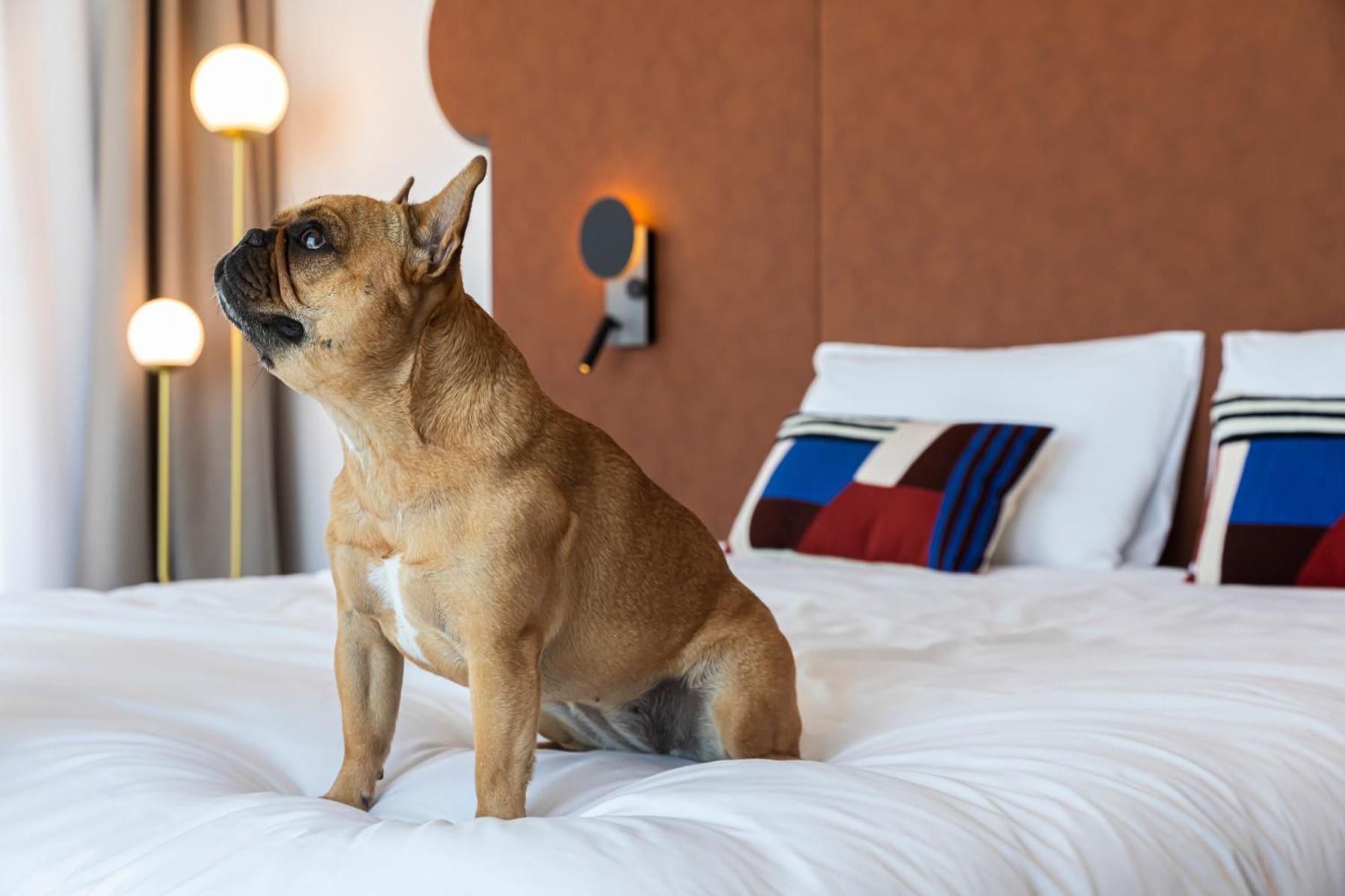 Hotel Mercure Dunkerque Centre Gare Dunkirk